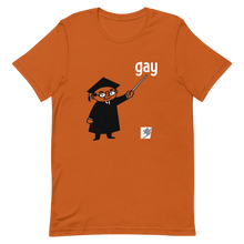 Load image into Gallery viewer, Say Gay gender neutral t-shirt