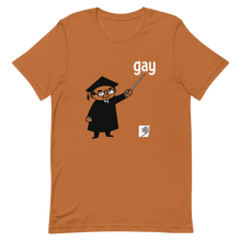 Load image into Gallery viewer, Say Gay gender neutral t-shirt