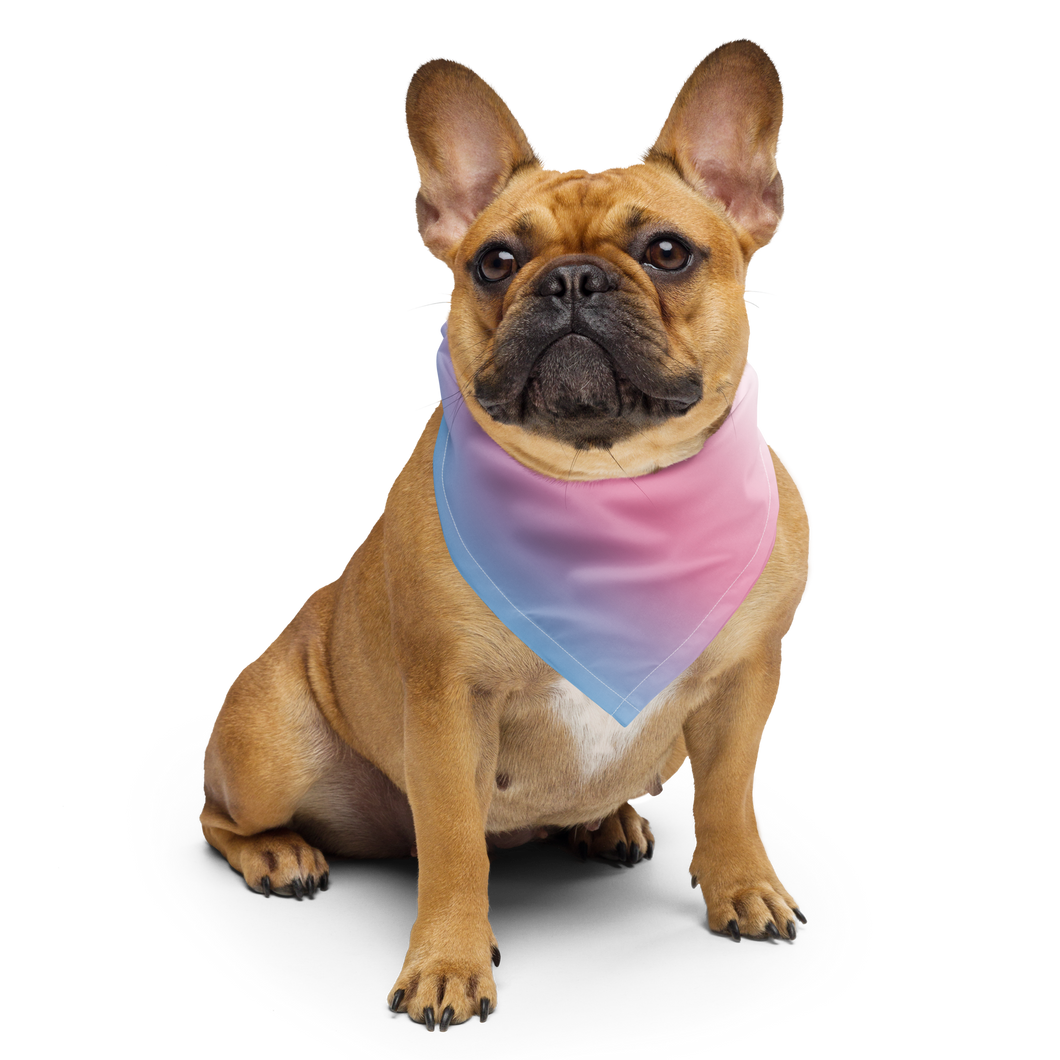 Protect Trans Futures bandana
